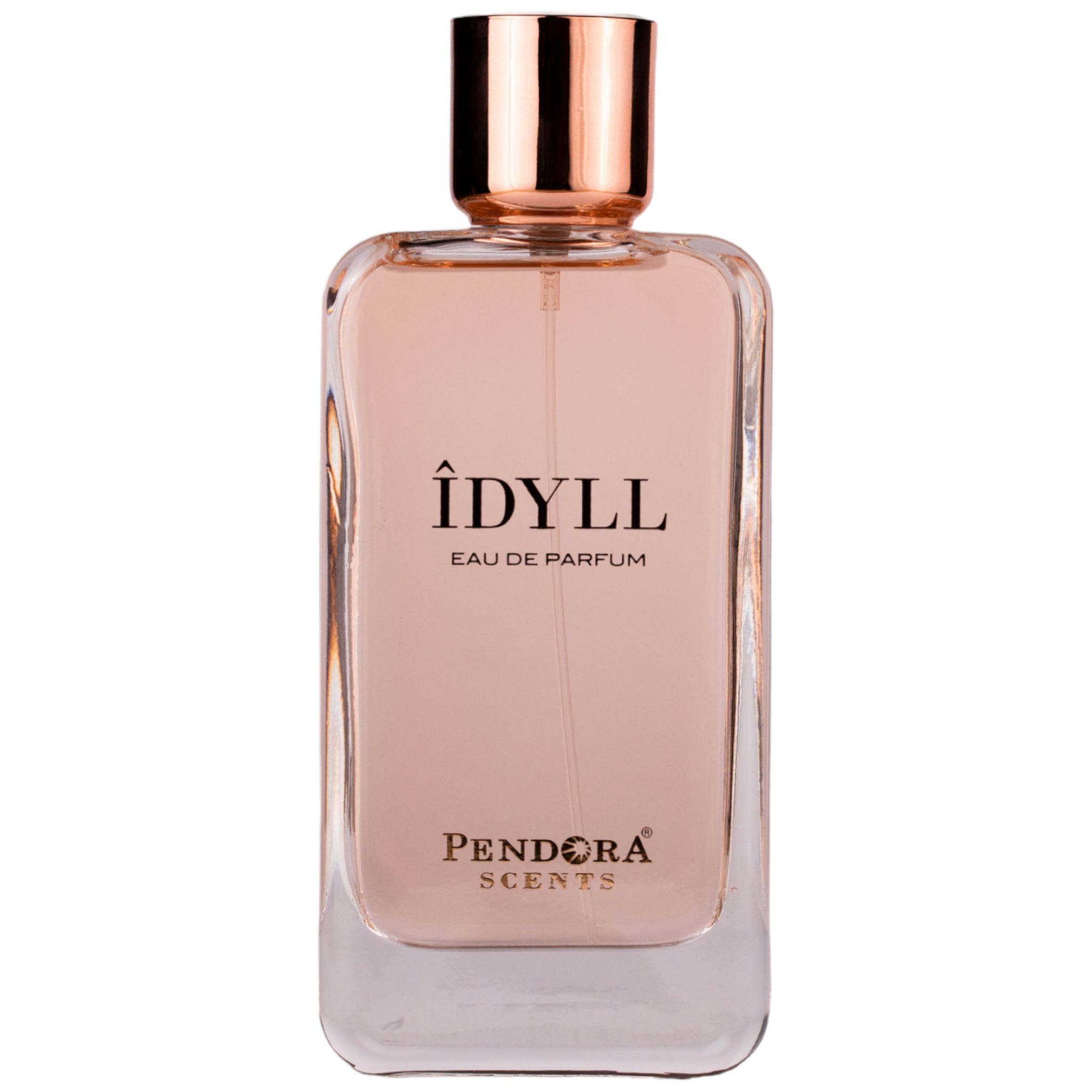 1737473918_RAW678fbf7e96506 Pendora Scents – Idyll Eau De Parfum 100ml - Image 1