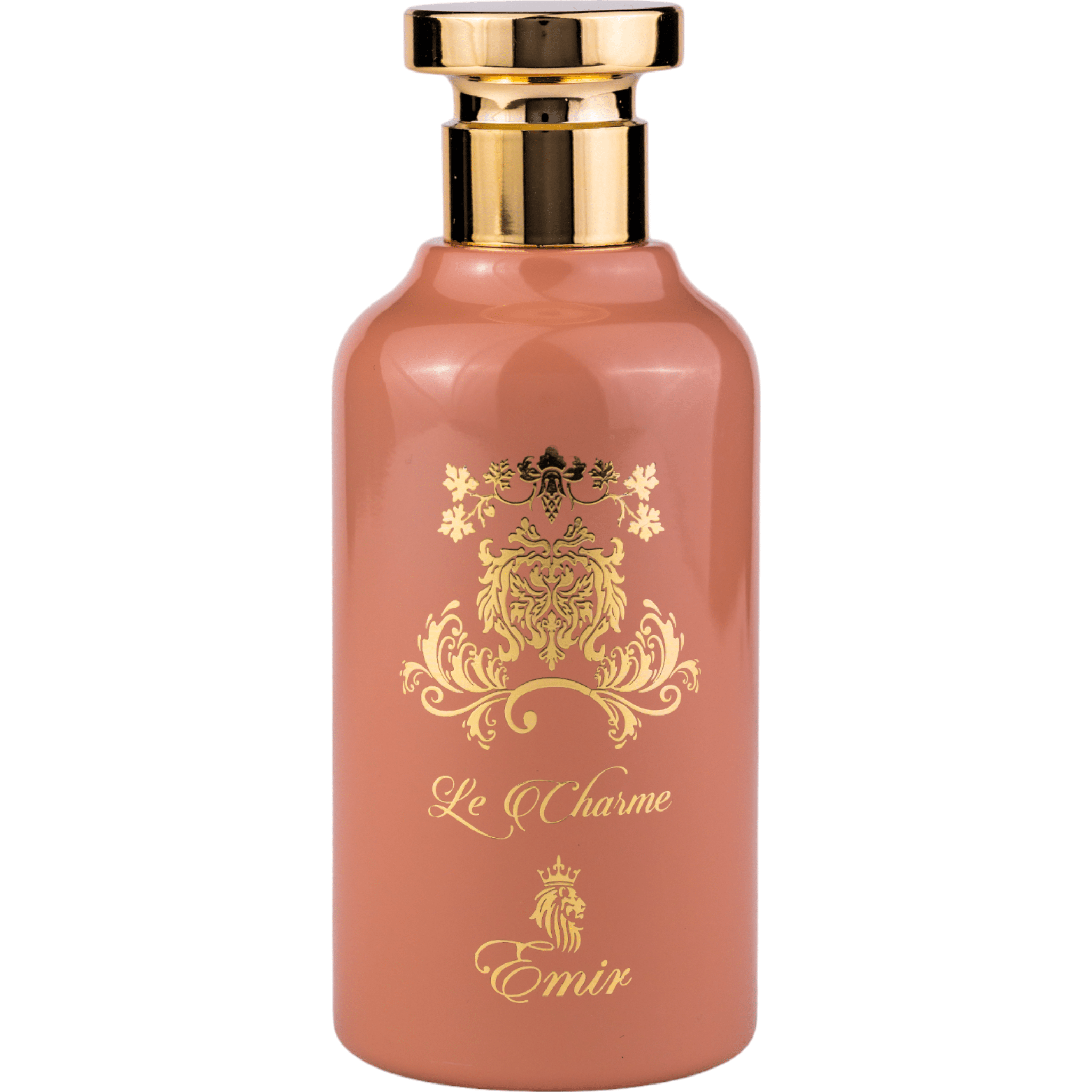 1737474800_RAW678fc2f0bd347 Emir – La Charme Eau De Parfum 100ml - Image 1