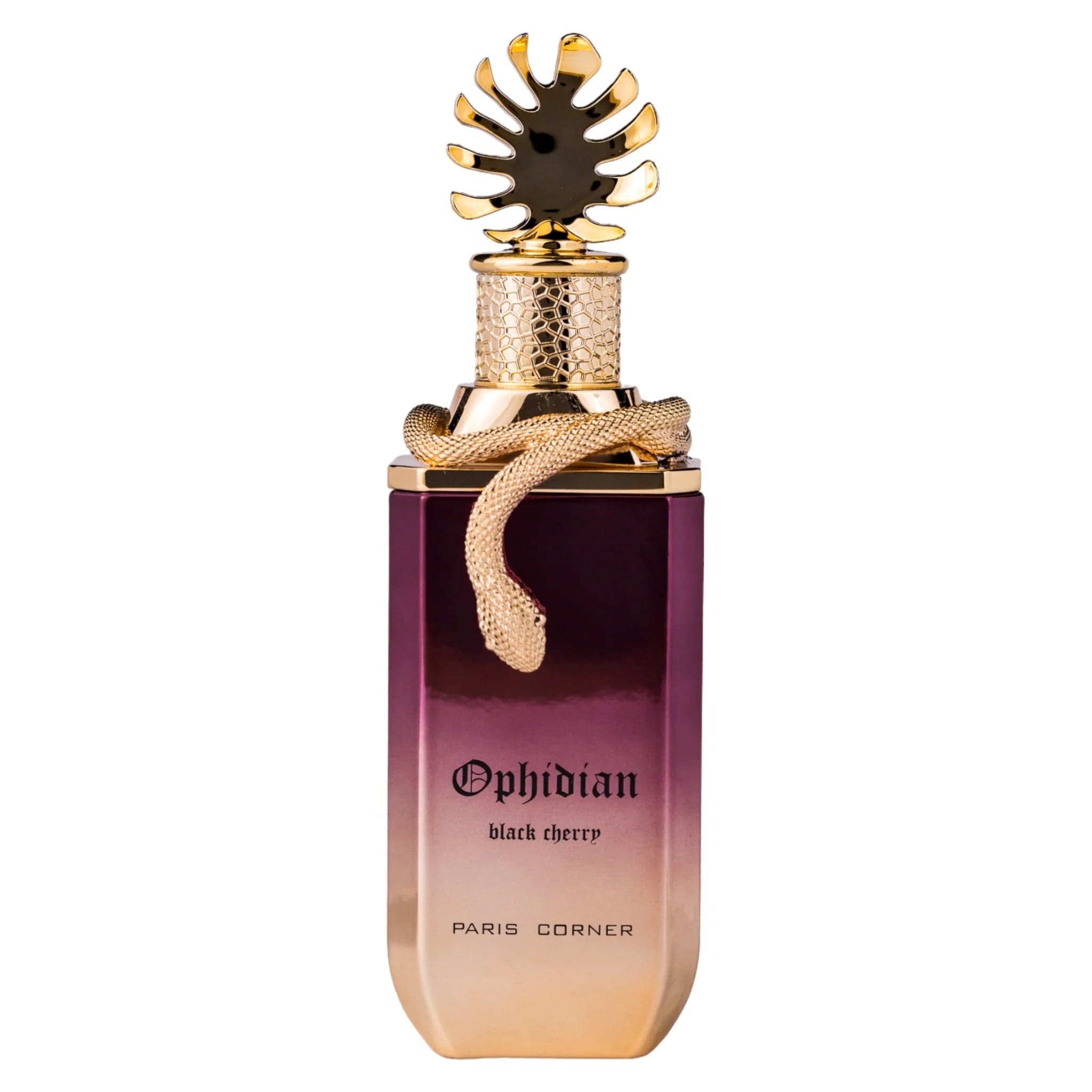1737475418_RAW678fc55abfa66 Paris Corner – Ophidian Black Cherry Eau De Parfum 100ml - Image 1