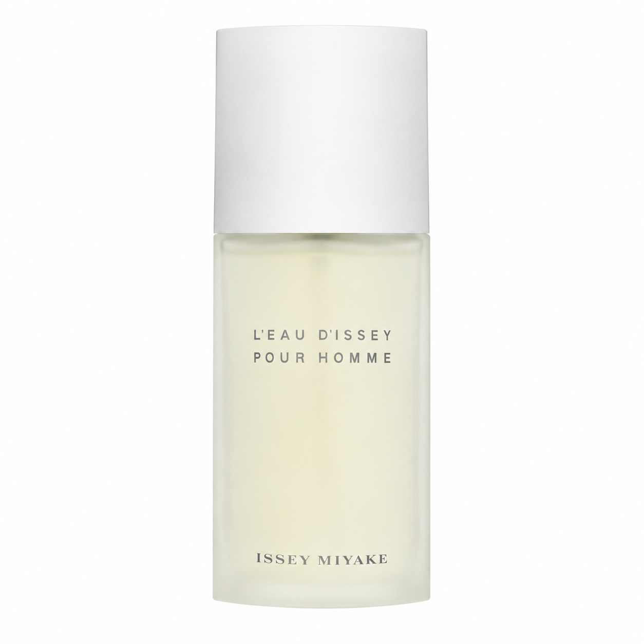 345b2ce3-d0ff-4047-abd4-5f84c05b0093 Issey Miyake – L’eau D’issey Pour Homme Eau De Toilette 125ml - Image 1