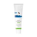 Round Lab - Birch Juice Moisturizing Mild-Up Sun Cream SPF 50+ PA++++ - 50ml